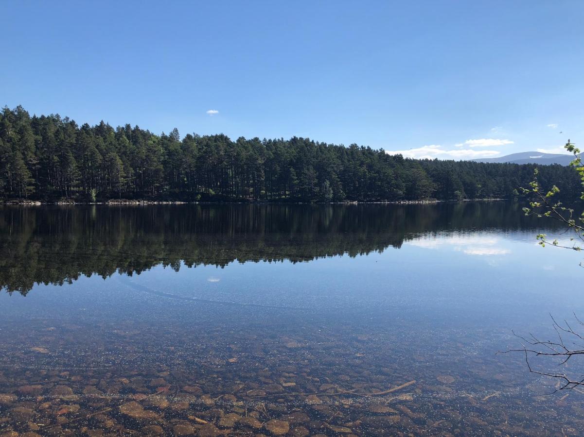 81 The Heathers, Aviemore Holiday Park , Dalfaber Rd Aviemore Ph22 1Px Eksteriør bilde